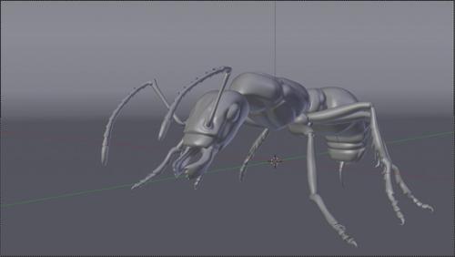 Ant preview image